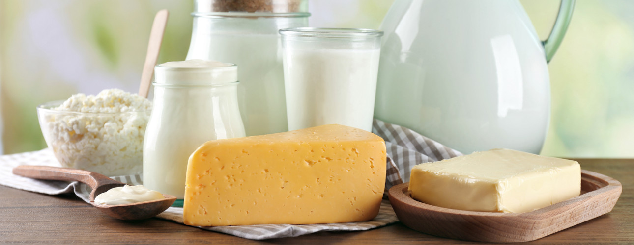 dairy_product_1290x500